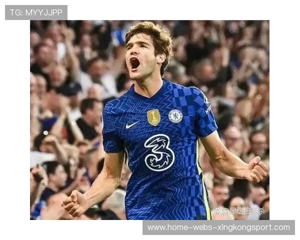 切尔西青春崛起