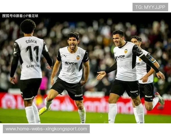 瓦伦西亚加码数据分析,开启智能决策新时代